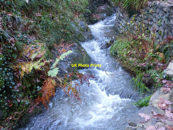 Photo 6"x4" Wild water Brymbo\/SH8071 c2017