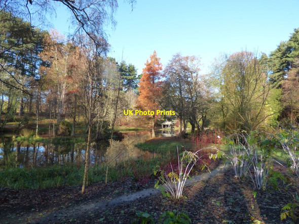 Photo 6"x4" The Boathouse on the Ice Skating Pool Tal-y-cafn c2017