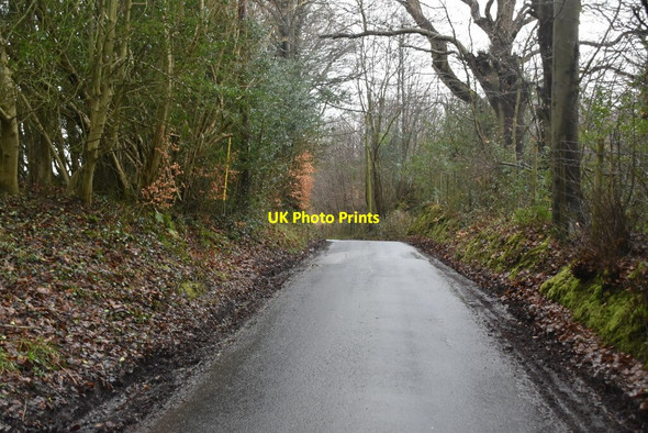 Photo 6"x4" Churchsettle Lane Bardown c2021 P1