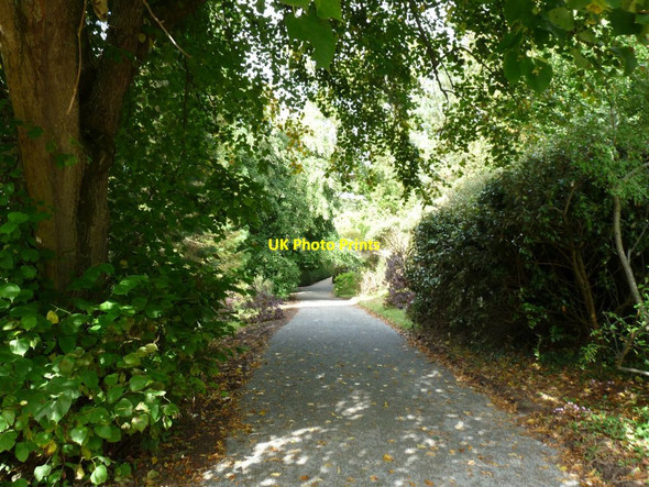 Photo 6"x4" Tree lined path Hirael c2014