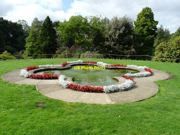Photo 6"x4" Lily pond Tal-y-bont\/SH6070 c2014