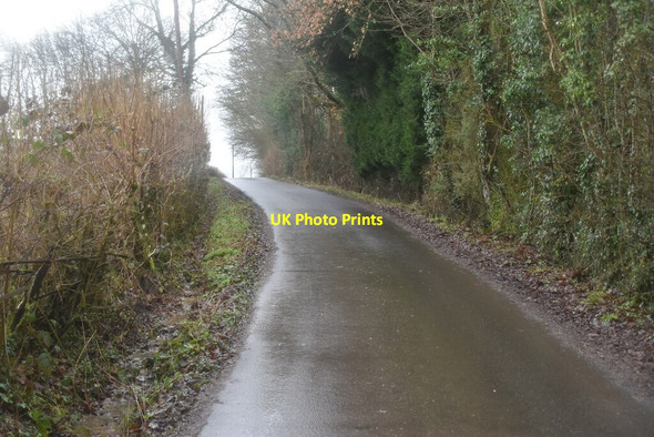 Photo 6"x4" Track to Dens Farm Combe\/TQ6228 c2021