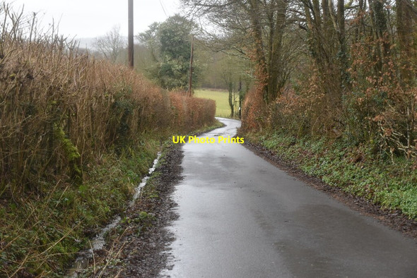 Photo 6"x4" Road to Dens Farm Combe\/TQ6228 c2021