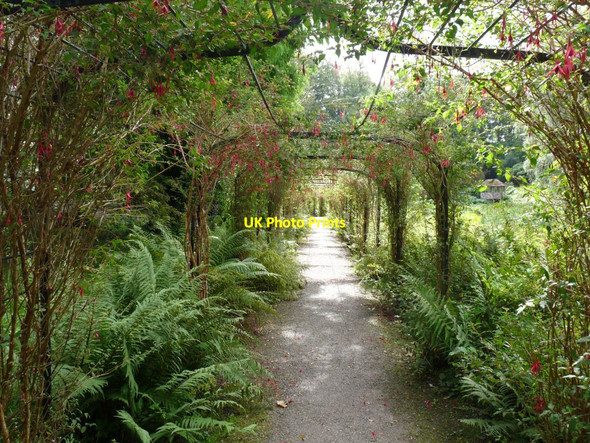 Photo 6"x4" The Fuchsia Arch Tal-y-bont\/SH6070 c2014