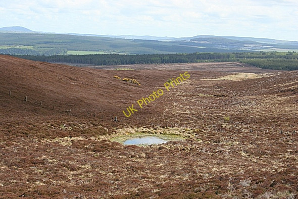 Photo 6"x4" Brown Muir Fogwatt c2009 P1