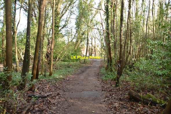 Photo 6"x4" Greensand Way Limpsfield Chart c2021