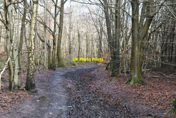 Photo 6"x4" Greensand Way, High Chart Goodley Stock c2021 P1