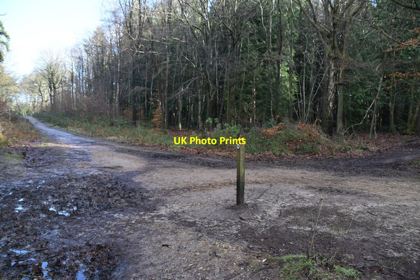 Photo 6"x4" Track junction, The High Chart Goodley Stock c2021