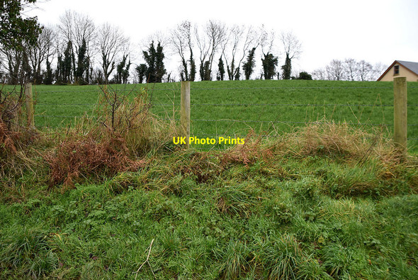 Photo 6"x4" Calkill Townland Mountjoy\/H4277 c2021