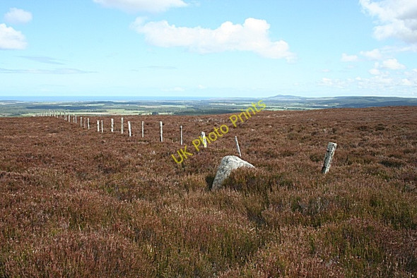 Photo 6"x4" Brown Muir Clackmarras c2009 P1