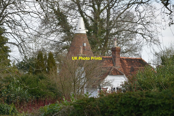 Photo 6"x4" Whytewood Oast Burwash Common c2021