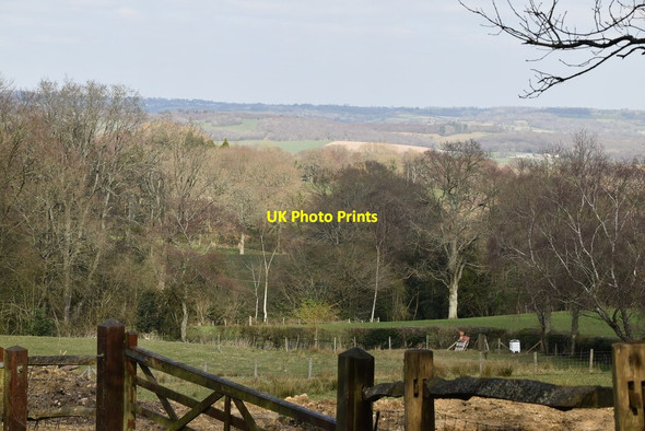 Photo 6"x4" High Weald view from Springhall Lane Burwash Common c2021