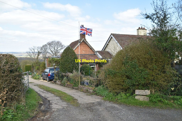 Photo 6"x4" Christmas Cottage Burwash Common c2021