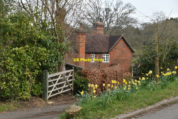 Photo 6"x4" Foxs Farm Burwash Common c2021