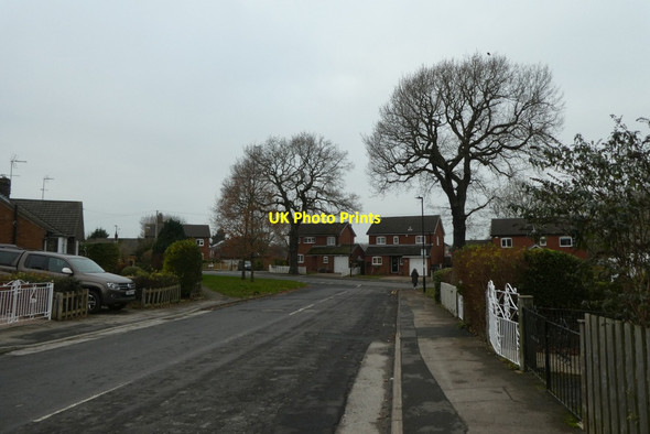 Photo 6"x4" Woodfield Road Harrogate c2021