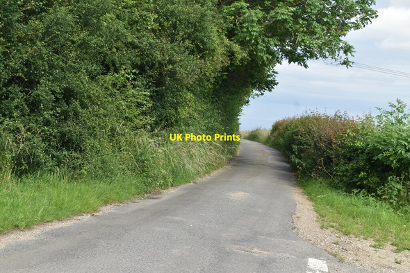 Photo 6"x4" Road to Chisbridge Chisbridge Cross c2021