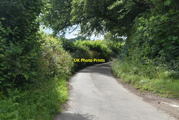 Photo 6"x4" Road to Parmoor Chisbridge Cross c2021