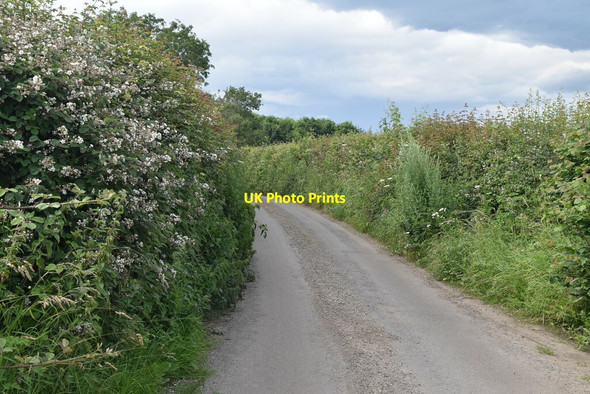 Photo 6"x4" To Moor End Chisbridge Cross c2021 P1