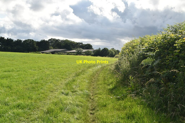 Photo 6"x4" Field edge footpath Parmoor c2021 P1