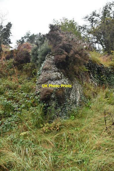 Photo 6"x4" Blackslee Dyke Derrygonnelly c2021