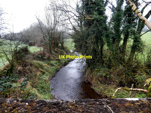 Photo 6"x4" Stream and Hedgerow The Butts\/S6269 c2021