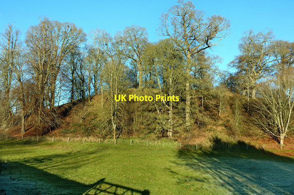 Photo 6"x4" Banty Hill Great Salkeld c2021