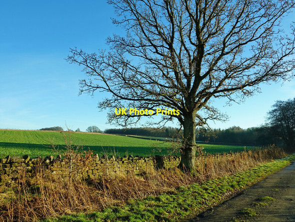 Photo 6"x4" Eden Valley farmland Lazonby c2021