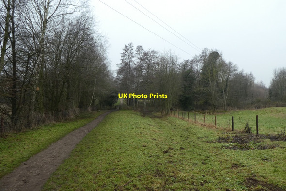 Photo 6"x4" Bridleway near Hell Wath Cottage Ripon c2021