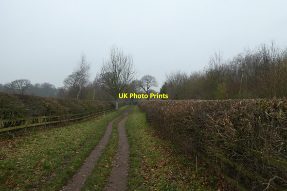 Photo 6"x4" Bridleway leading towards Studley Road Ripon c2021