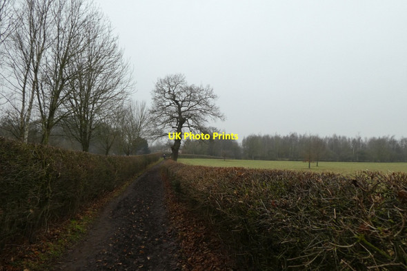Photo 6"x4" Bridleway towards Duck House Ripon c2021