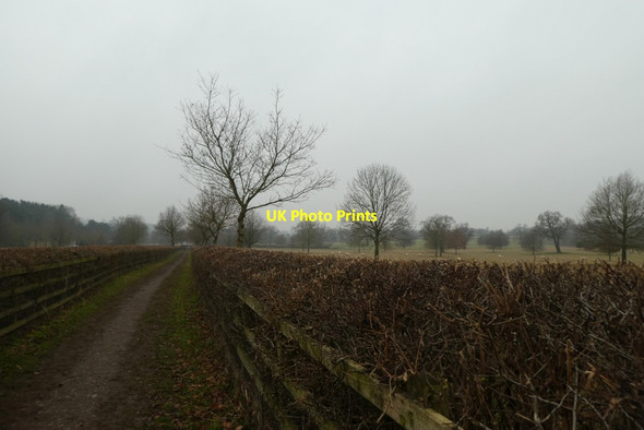Photo 6"x4" Path to Studley Roger Ripon c2021