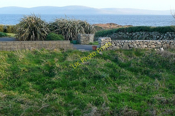 Photo 6"x4" An Spid\u00c3\u00a9al (Spiddle) Spiddle c2009