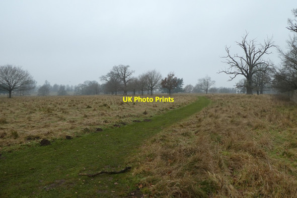 Photo 6"x4" Path on the edge of the deer park Studley Roger c2021