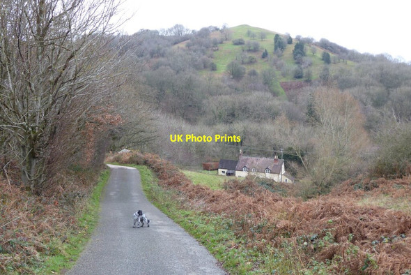 Photo 6"x4" View of Ragged Stone Hill Hollybush\/SO7636 c2021