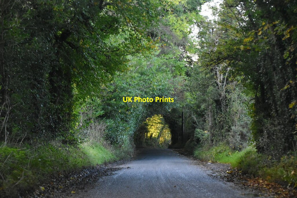 Photo 6"x4" Banagher Rd Dungiven c2021