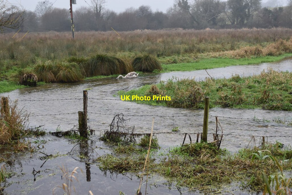 Photo 6"x4" Stream below Cheriton Mill North End\/SU5829 c2021