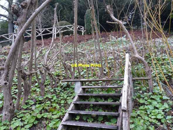 Photo 6"x4" Steps up Canon Bridge c2015