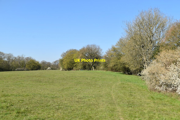 Photo 6"x4" Field edge footpath South Godstone c2021