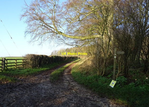 Photo 6"x4" Farm track (footpath) off Givendale Lane Meltonby c2021