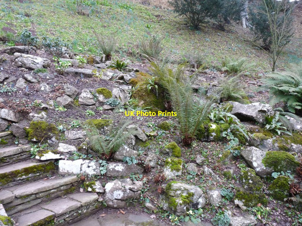Photo 6"x4" Steps through the rock garden Canon Bridge c2015