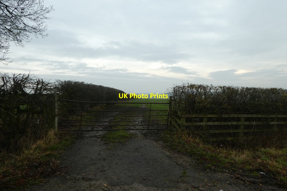 Photo 6"x4" Gate beside High Moor Road Brackenthwaite\/SE2751 c2021