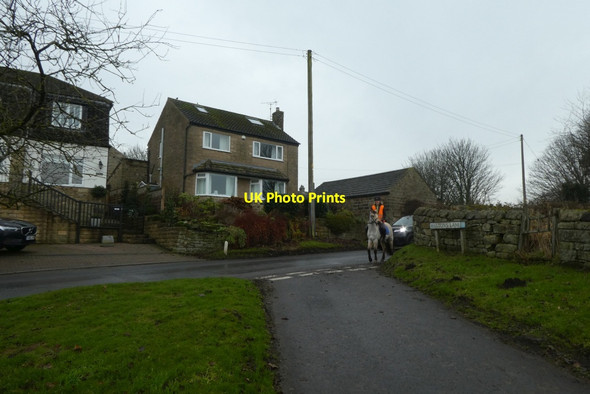 Photo 6"x4" Horse in North Rigton North Rigton c2021