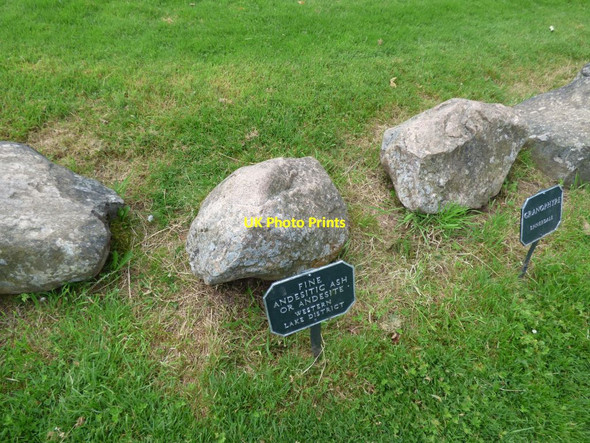Photo 6"x4" Glacial erratic boulders Wightwick Manor c2017