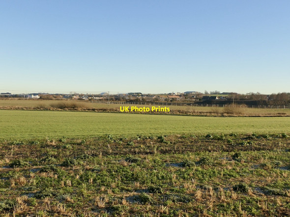 Photo 6"x4" Winter cereals, Adniston Tranent c2021