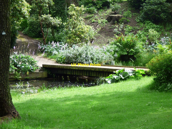 Photo 6"x4" Wooden footbridge over the lake Longmoss c2017