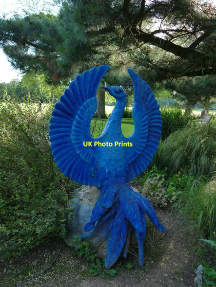 Photo 6"x4" Phoenix in Vivary Park Taunton\/ST2324 c2021