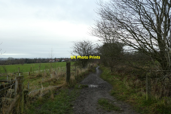 Photo 6"x4" Path to Harlow Moor Road Harrogate c2021