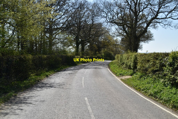 Photo 6"x4" Hornecourt Hill Horne c2021