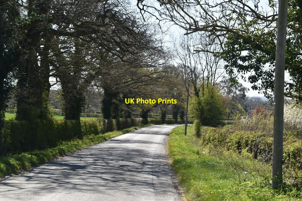 Photo 6"x4" Hornecourt Hill Horne c2021 P2