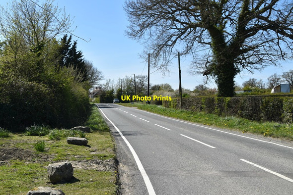 Photo 6"x4" Whitewood Lane Horne c2021